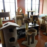 Cat houses in Paoli